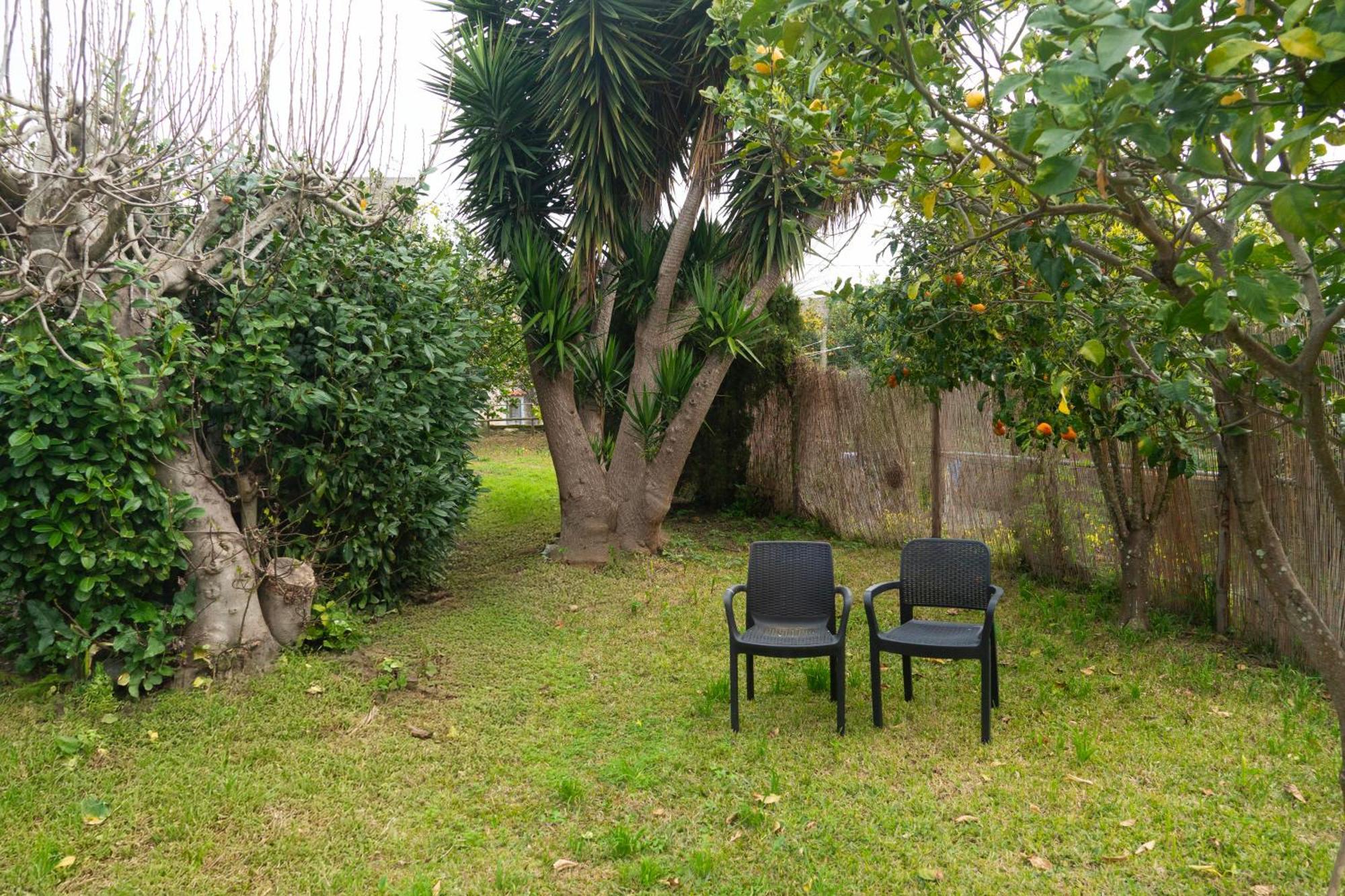 شقة La Terrazza Sul Giardino بروسيدا المظهر الخارجي الصورة