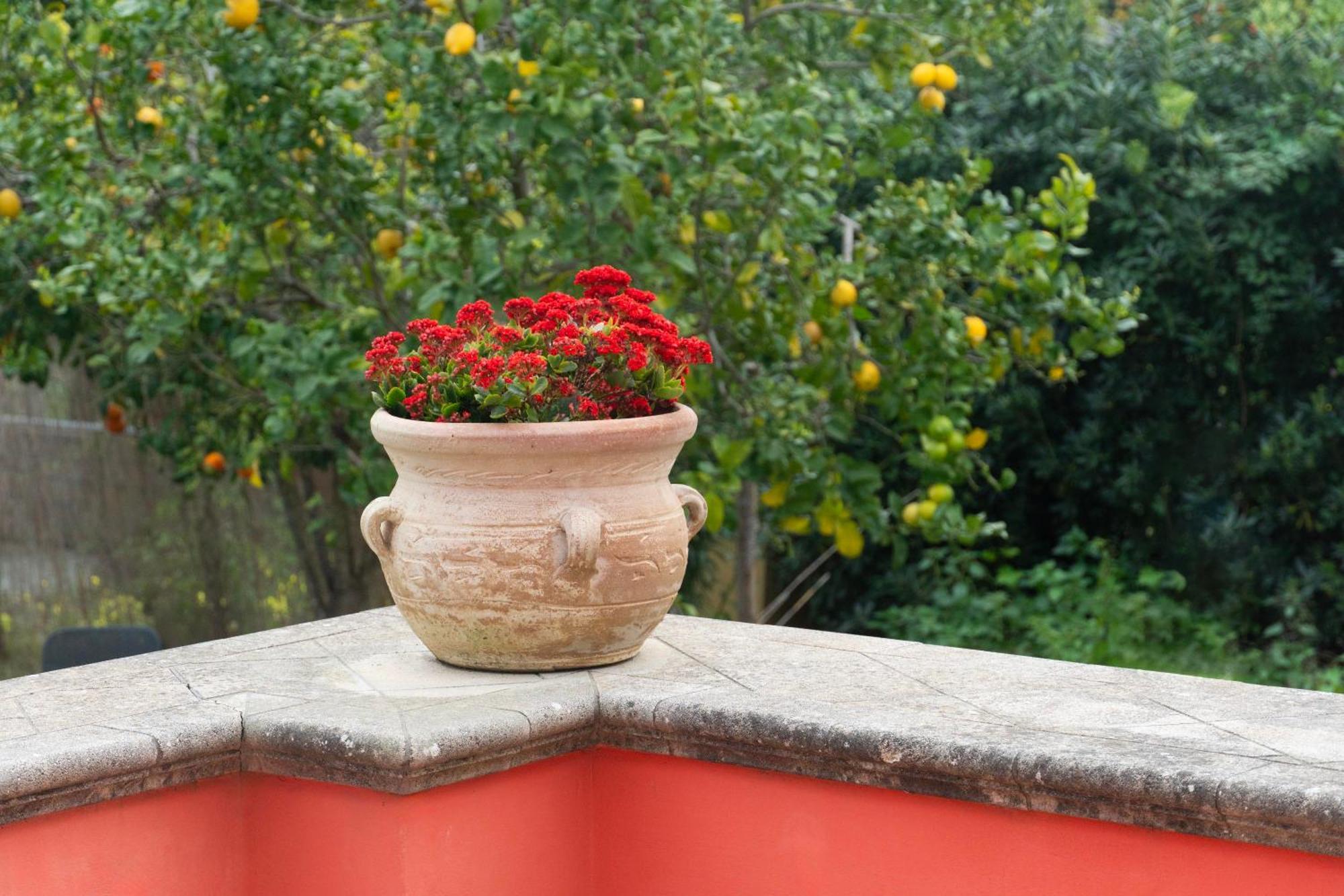 شقة La Terrazza Sul Giardino بروسيدا المظهر الخارجي الصورة